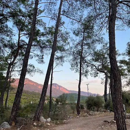 4 Camp&restaurant - Adult Only Luxury tent *