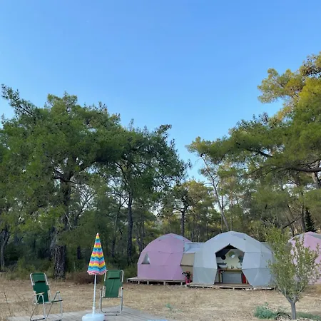 4 Camp&restaurant - Adult Only Luxury tent *
