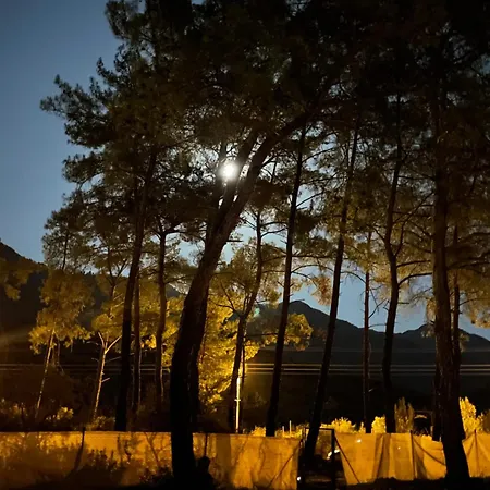 Luxury tent 4 Camp&restaurant - Adult Only *